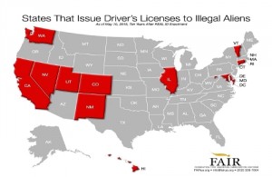 States That Issue Driver's Licenses to Illegal Aliens. FAIRus.org (PRNewsFoto/FAIR)