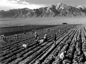 Ansel_Adams_-_Farm_workers_and_Mt._Williamson